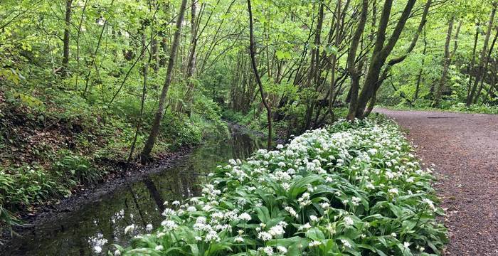 Naturschutzgebiet Haumühli