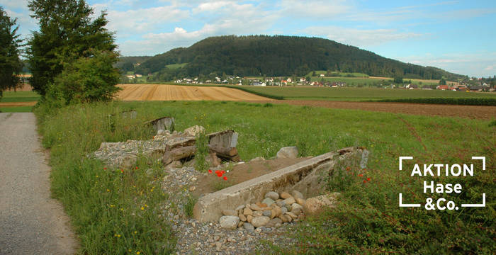 Kulturlandschaft Panzersperre in Stadel