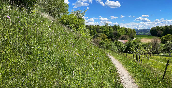 Böschung als wichtiges Landschaftselement