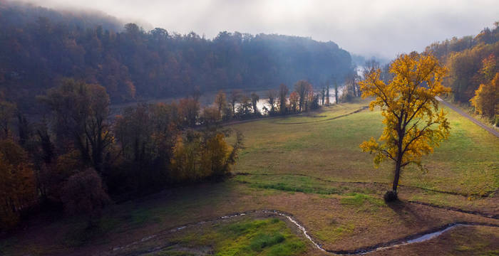 Blick auf die Magerwiese mit neuem Bachlauf im Vordergrund