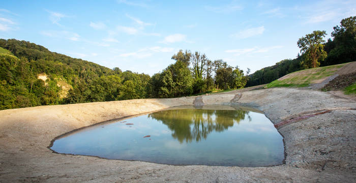 Der Weiher kann dank eines Grundablasses über die Wintermonate trocken gelegt werden