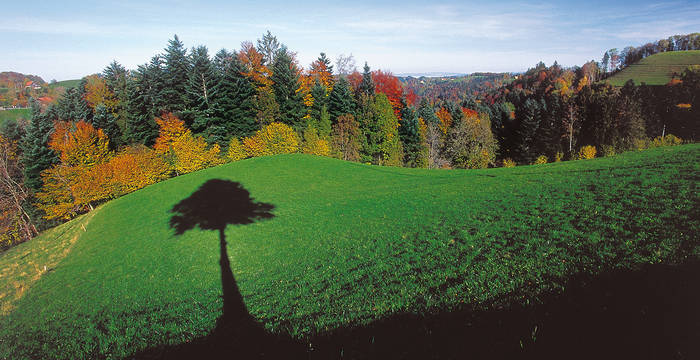 Hörnli-Bergland