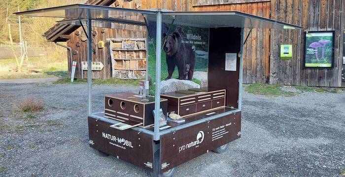 Naturmobil Wildnis - wo der Bär zuhause ist