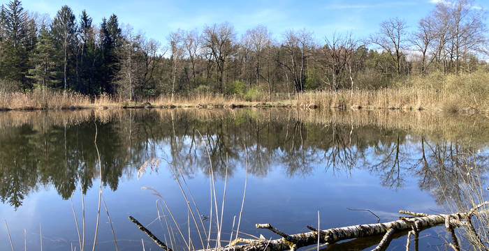 Naturschutzgebiet Örmis