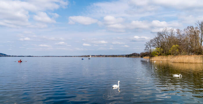 Greifensee