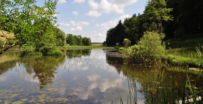 Eigental