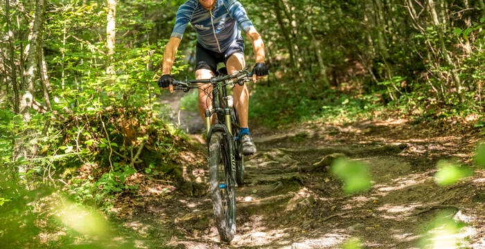 Mountainbike im Wald