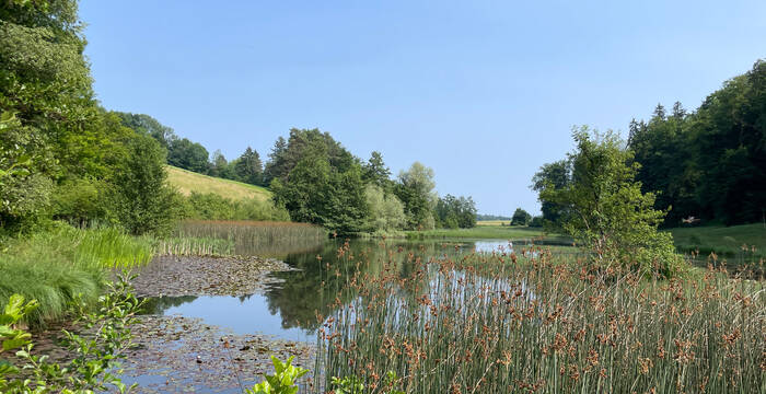 Eigental 2