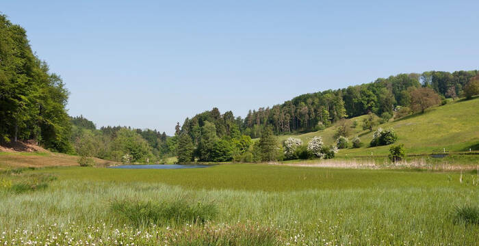 Eigental