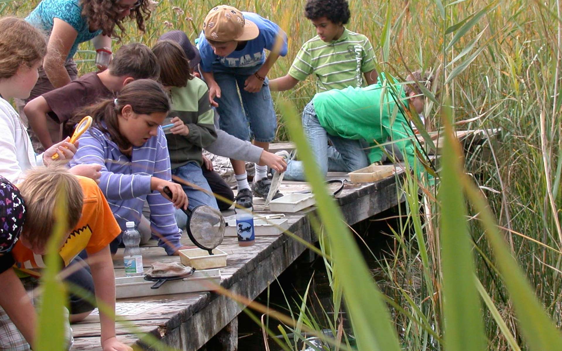 Kinder entdecken Amphibien © Pro Natura