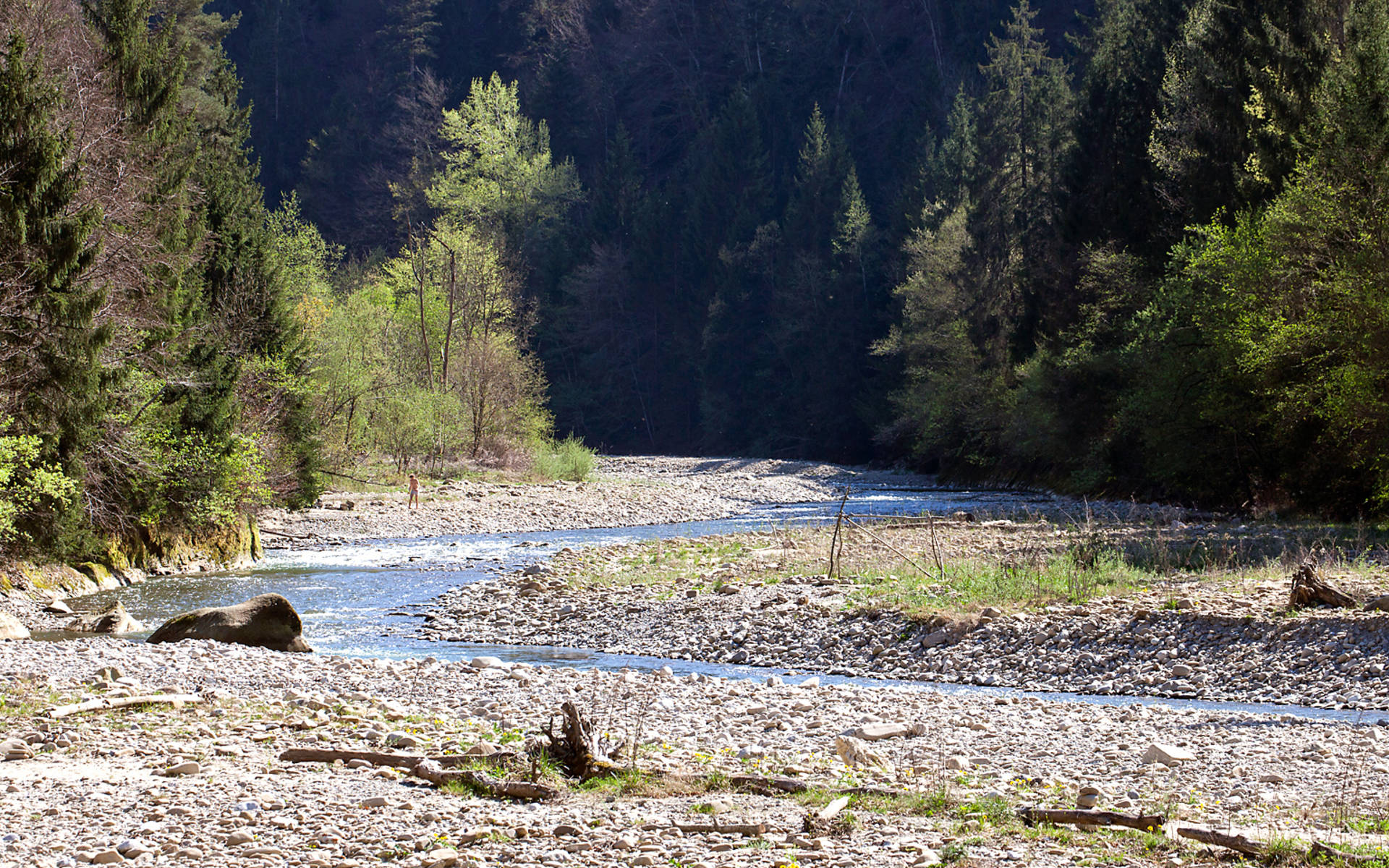 Auenlandschaft © Matthias Sorg