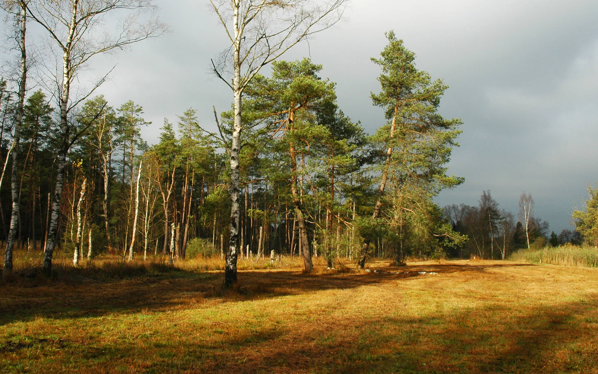 Wilder © Matthias Wüst