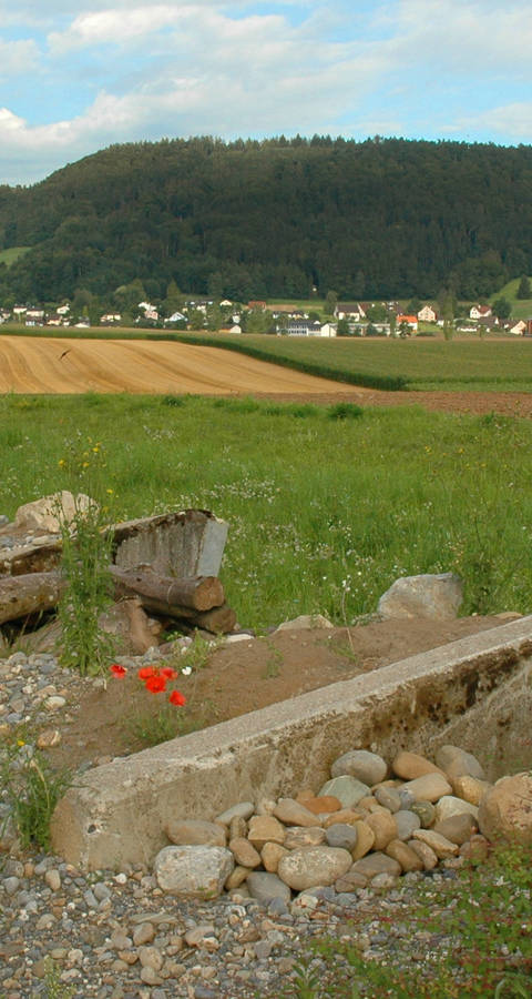 Kulturlandschaft Panzersperre in Stadel