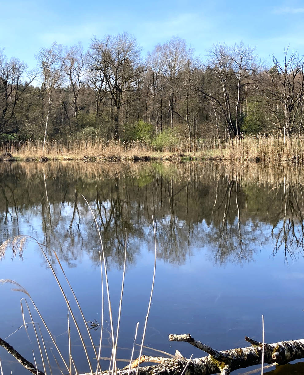 Naturschutzgebiet Örmis