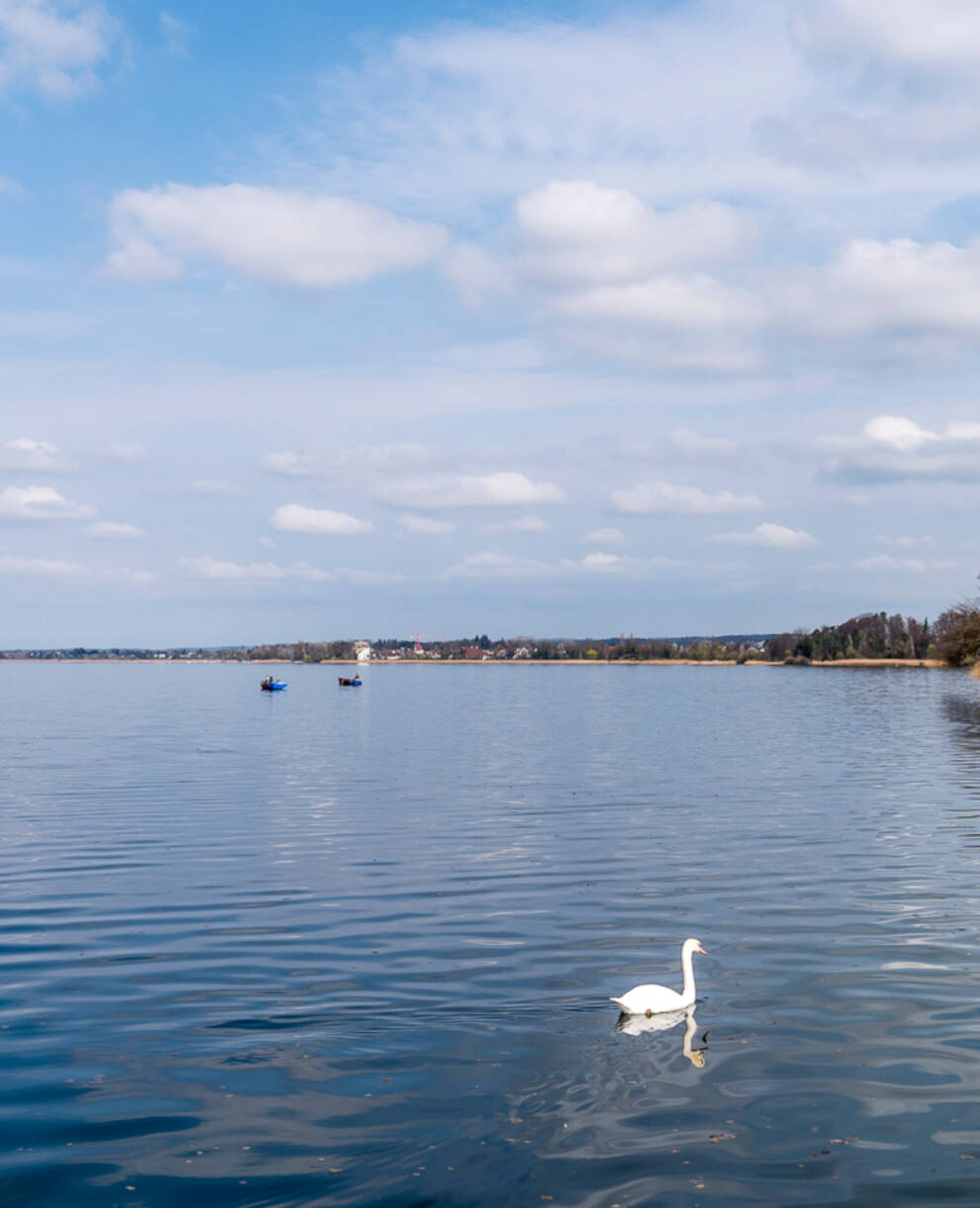 Greifensee