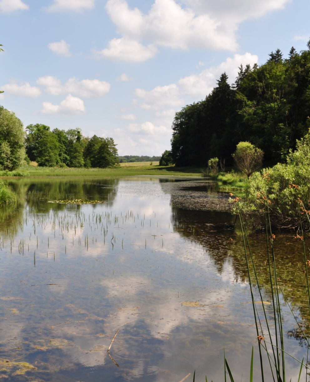 Eigental