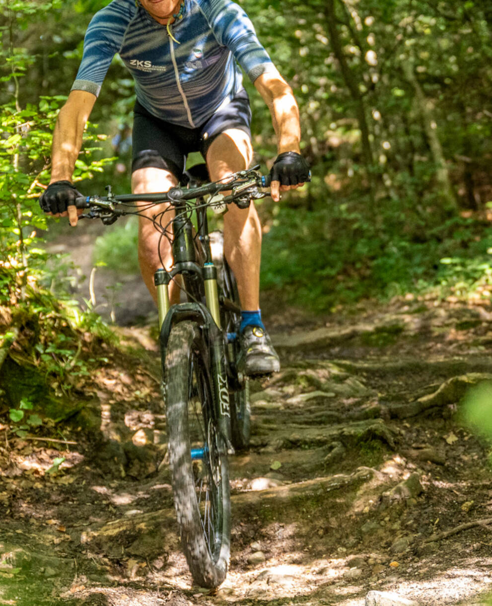 Mountainbike im Wald
