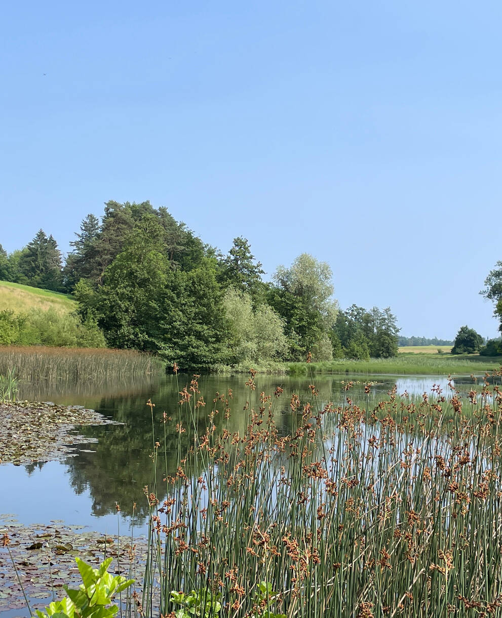 Eigental 2