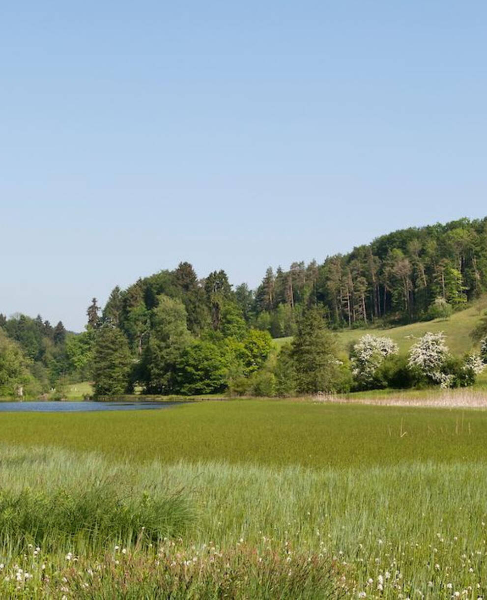 Eigental