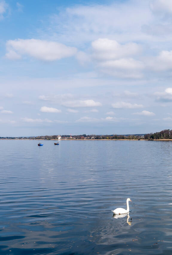 Greifensee