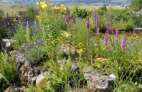 Schaugarten