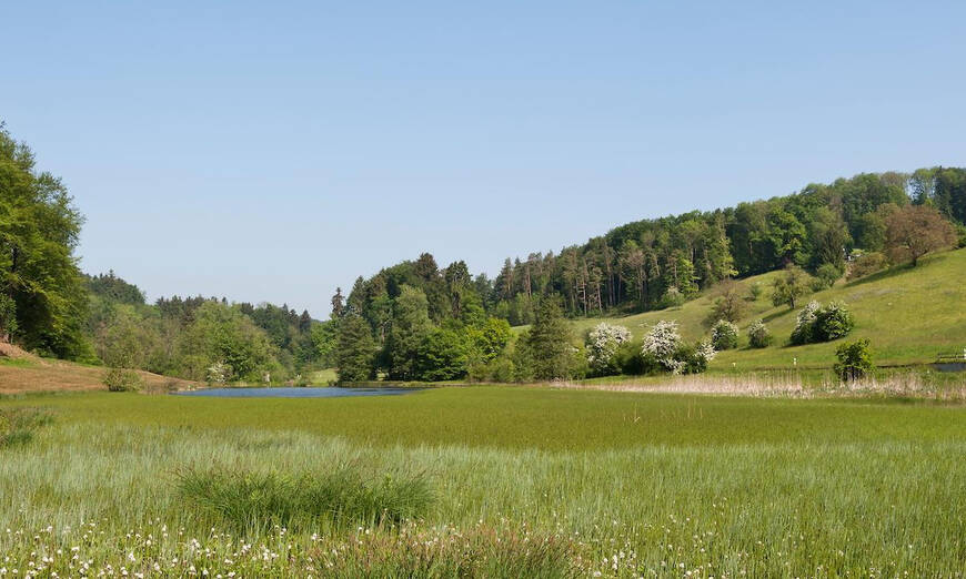 Eigental